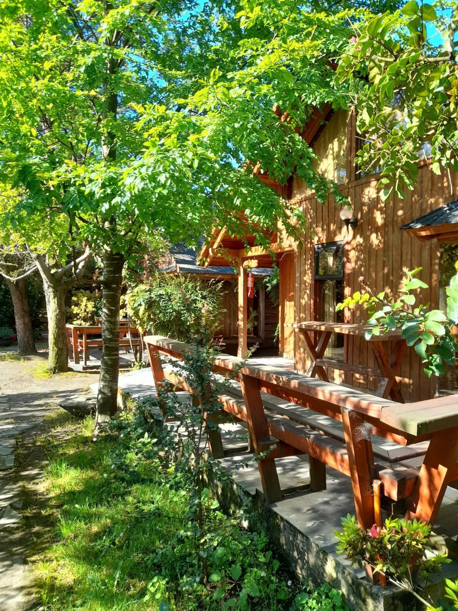 Hosteria-Cabanas Rucapillan Choshuenco Εξωτερικό φωτογραφία